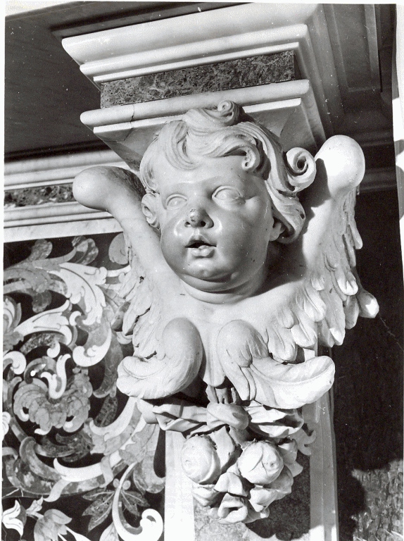 testa di cherubino (scultura) di Fanzago Cosimo (seconda metà sec. XVII)