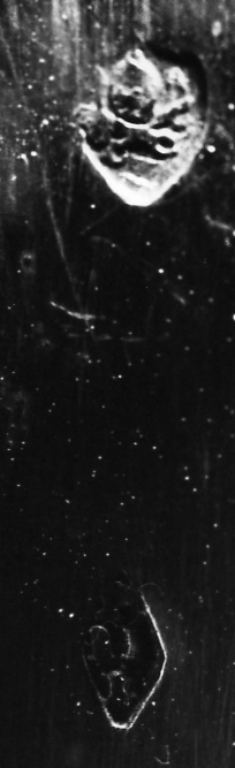 calice - ambito romano (inizio sec. XIX)