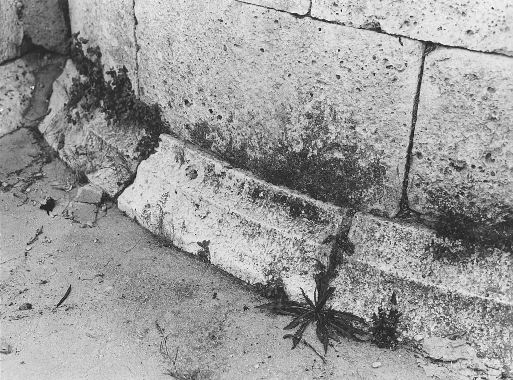 cornice architettonica - ambito laziale (sec. XII)