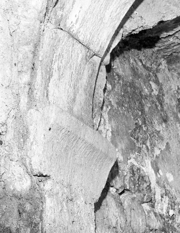 peduccio - ambito laziale (prima metà sec. XII)