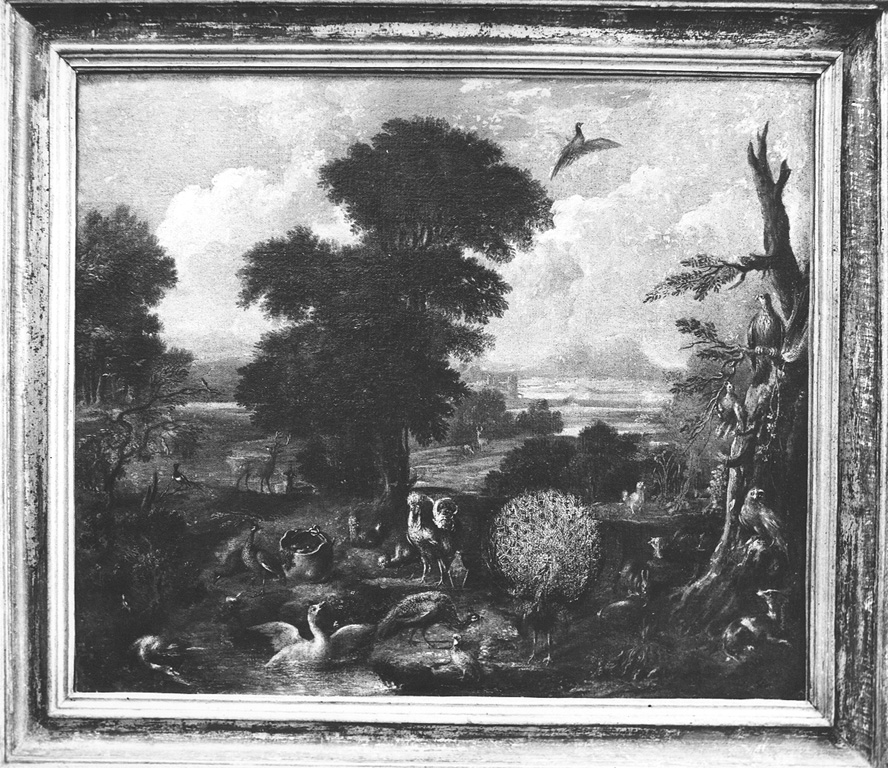 paesaggio con pavone (dipinto) - ambito romano (secc. XVII/ XVIII)