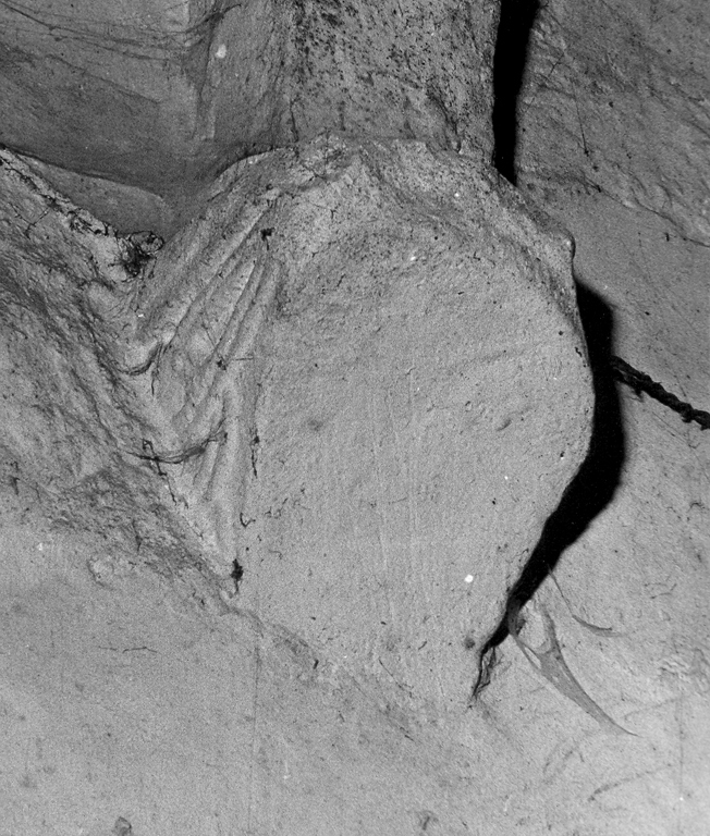 capitello - a gruccia, frammento - ambito laziale (sec. XI)