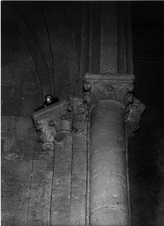 capitello di pilastro - ambito viterbese (sec. XIII)