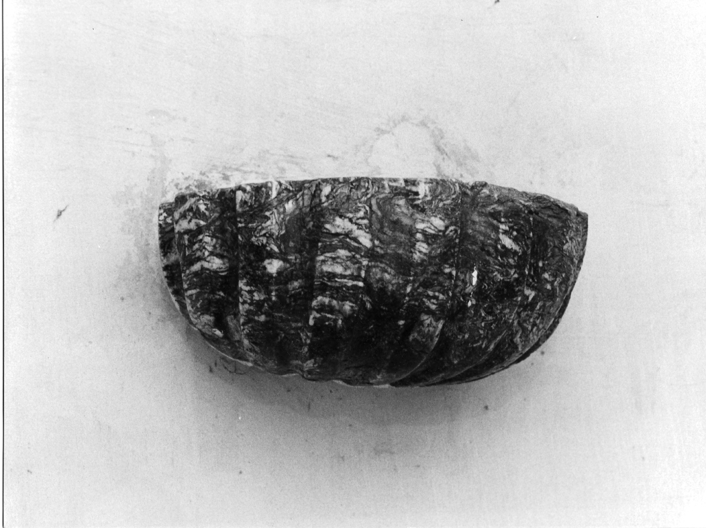 acquasantiera da parete - ambito laziale (sec. XVIII)