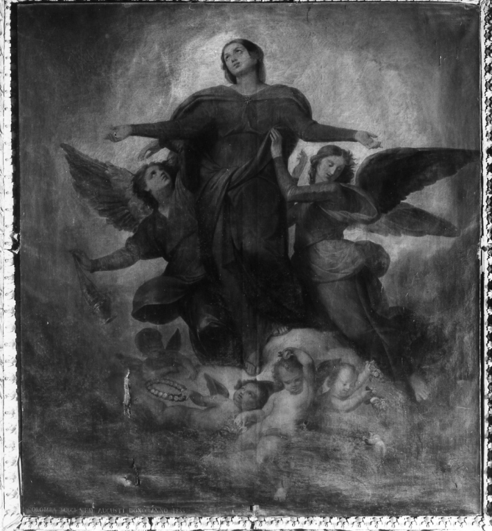 Madonna Assunta con angeli (dipinto) di Tirinelli S (sec. XIX)