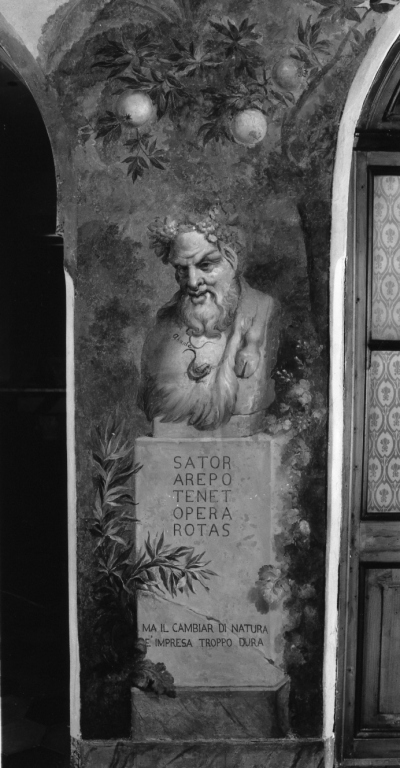 busto di satiro (dipinto) di Balbi Filippo (sec. XIX)