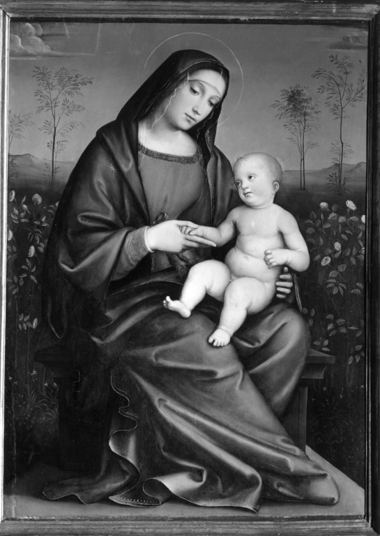 Madonna col Bambino nel giardino di rose (dipinto) di Raibolini Francesco detto Francesco Francia (sec. XV)