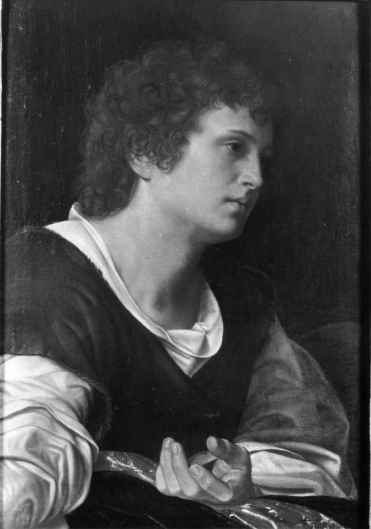 Figura di giovane (dipinto) di Savoldo Giovanni Gerolamo (sec. XVI)