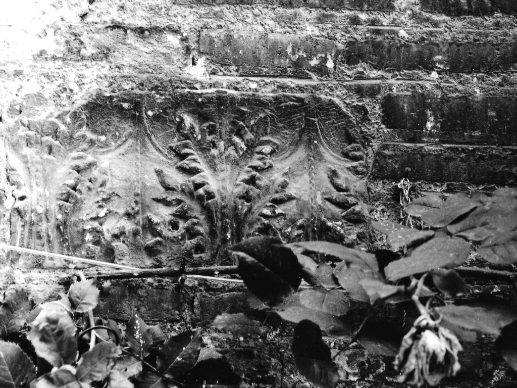 motivi decorativi a foglie d'acanto (rilievo, frammento) - ambito romano (fine/inizio secc. I/ II)