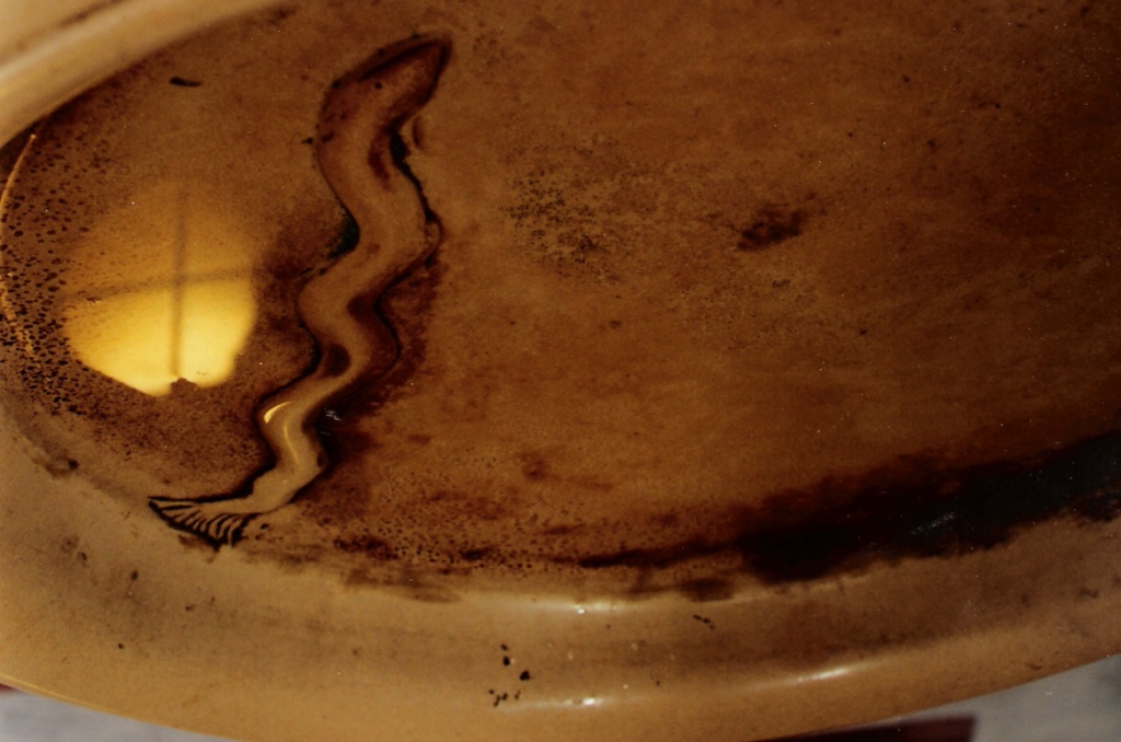 acquasantiera - ambito laziale (sec. XVII)