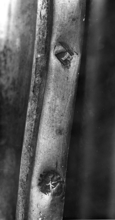 calice - ambito laziale (sec. XVIII)