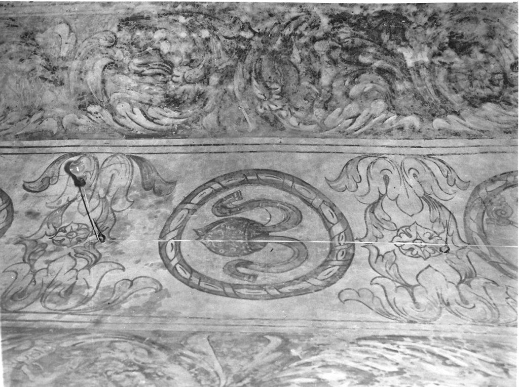 girali vegetali e simboli episcopali (decorazione pittorica) - ambito viterbese (sec. XVI)