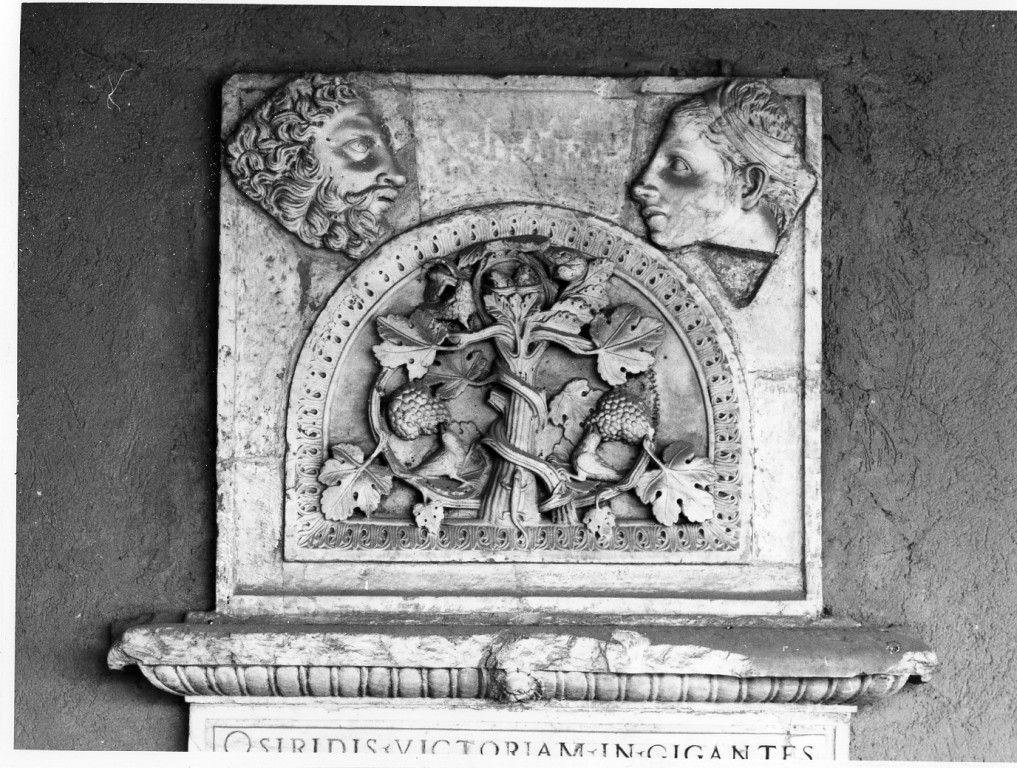 motivi decorativi a tralci di vite (lunetta) - ambito laziale (sec. XII)