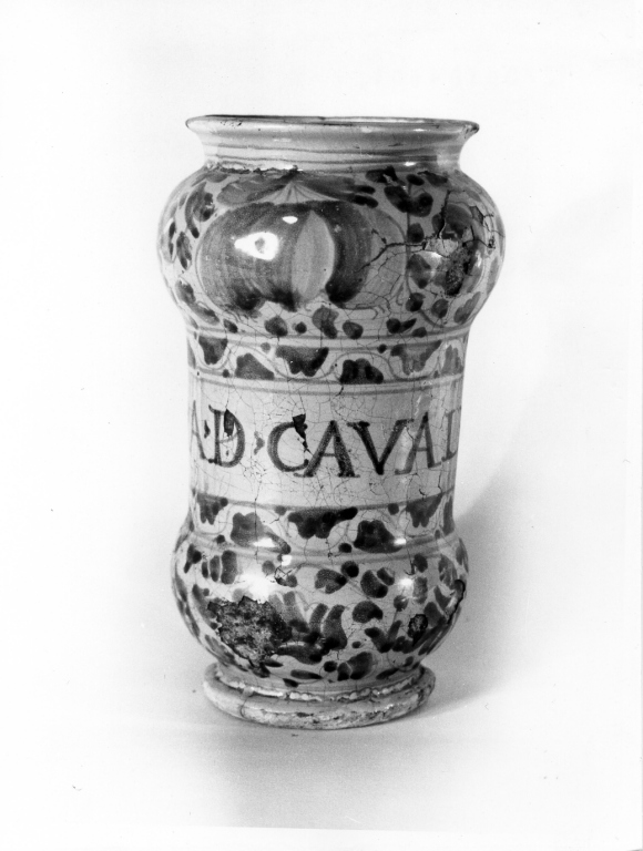 alberello - ambito viterbese (sec. XVII)