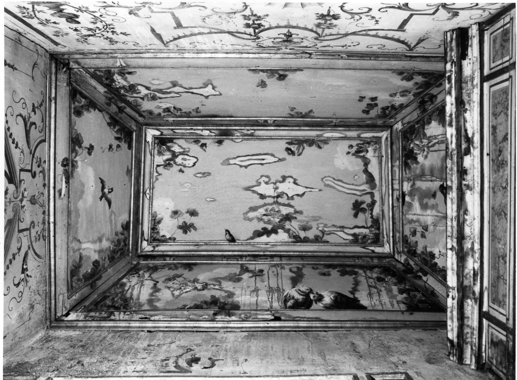 motivi decorativi vegetali con uccelli (soffitto dipinto) - ambito laziale (primo quarto sec. XVIII)