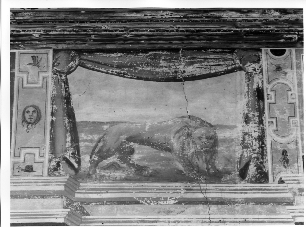 leone (dipinto, ciclo) di Onesti di Acquapendente (fine sec. XVIII)