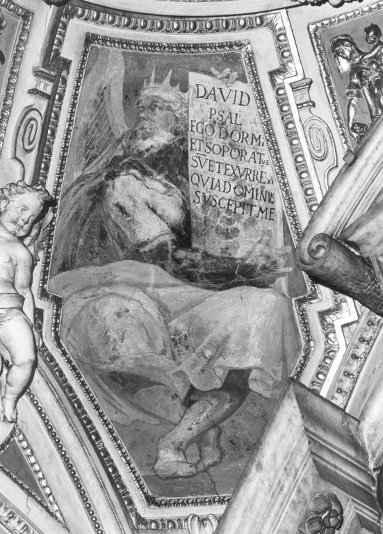 David (dipinto) di Croce Baldassarre (sec. XVI)