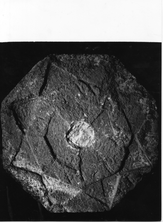 motivi decorativi geometrici (rilievo) - ambito laziale (secc. XVI/ XVIII)