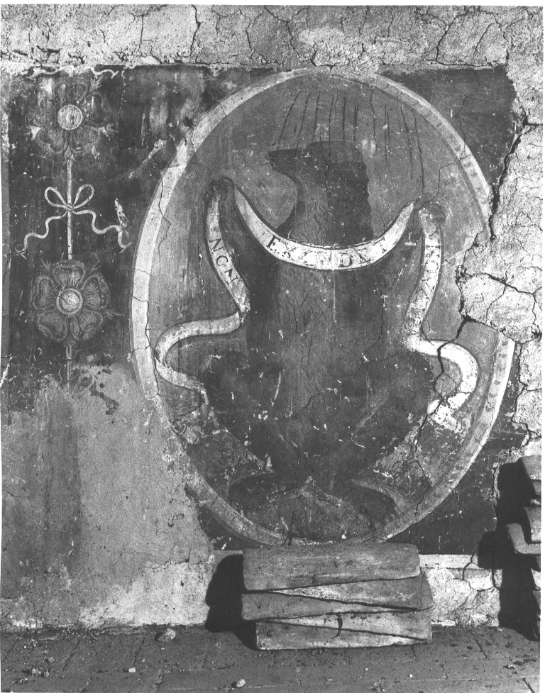 motivi decorativi (decorazione pittorica, complesso decorativo) - ambito laziale (secc. XVI/ XVII)