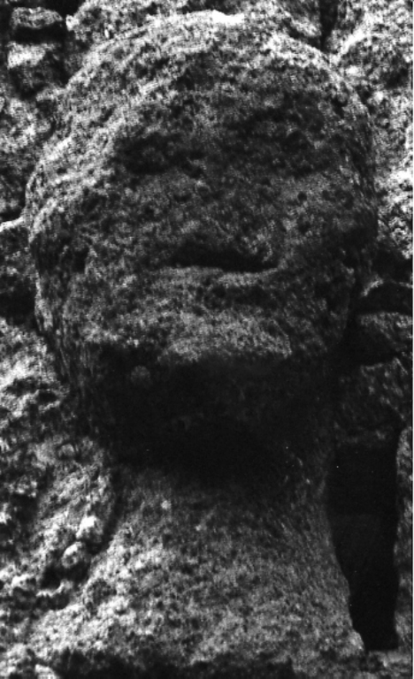 testa d'uomo (dipinto) - ambito viterbese (sec. XIV)