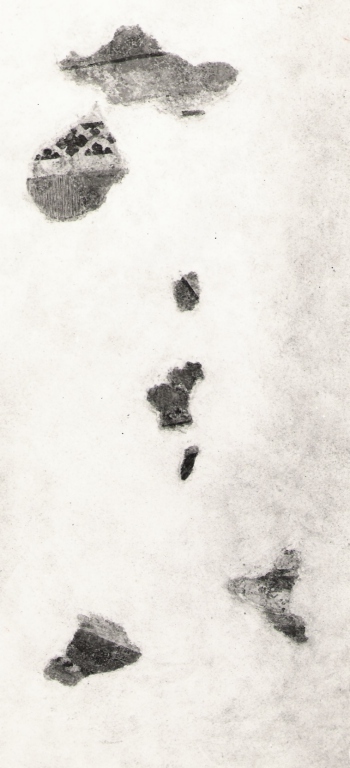 motivi decorativi (dipinto) - ambito laziale (sec. XV)