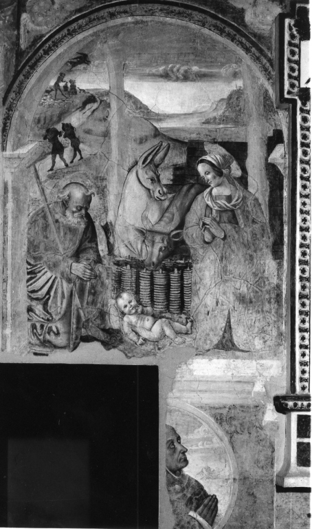 natività di Gesù (dipinto) di Antonio del Massaro detto Pastura (sec. XVI)