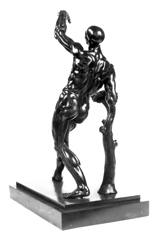 figura anatomica virile (scultura) - ambito fiammingo (fine/inizio secc. XVII/ XVIII)