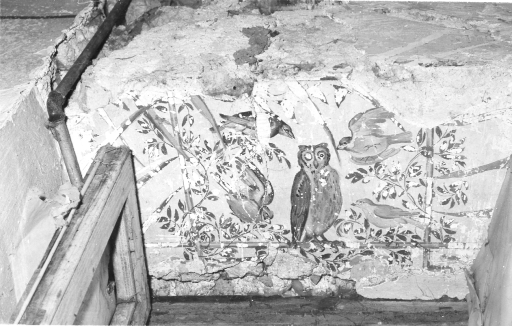 Motivi vegetali e animali (decorazione pittorica) di Zuccari Federico (maniera) (fine/inizio secc. XVI/ XVII)