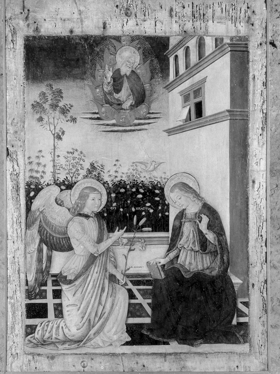Annunciazione (dipinto) di Velandi Domenico (sec. XVI)