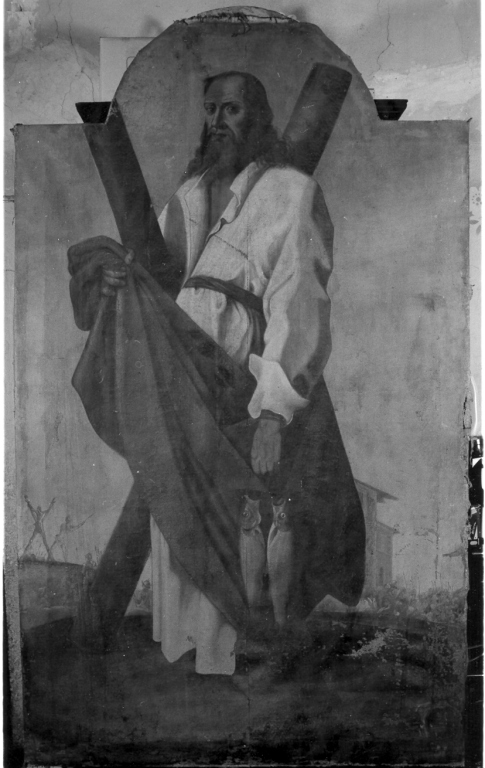 S. Andrea apostolo (dipinto) - ambito laziale (sec. XVI)