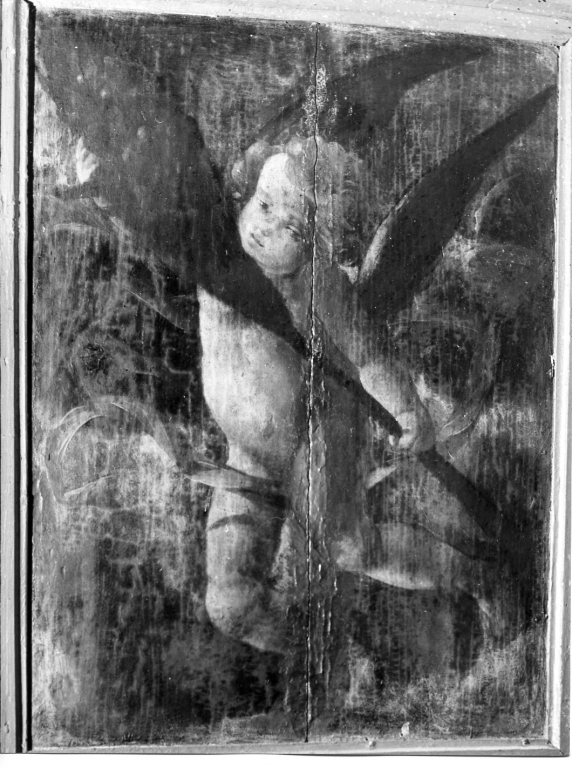 putto alato con una fronda in mano (dipinto) - ambito laziale (sec. XVIII)