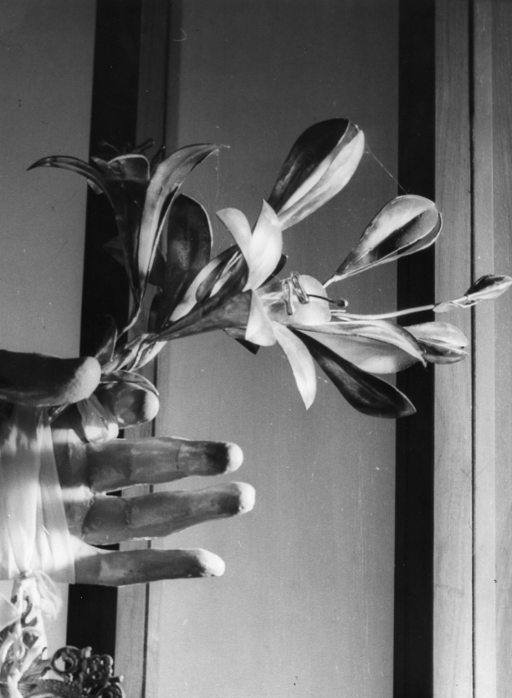 attributo iconografico di immagine sacra - ambito laziale (sec. XIX)