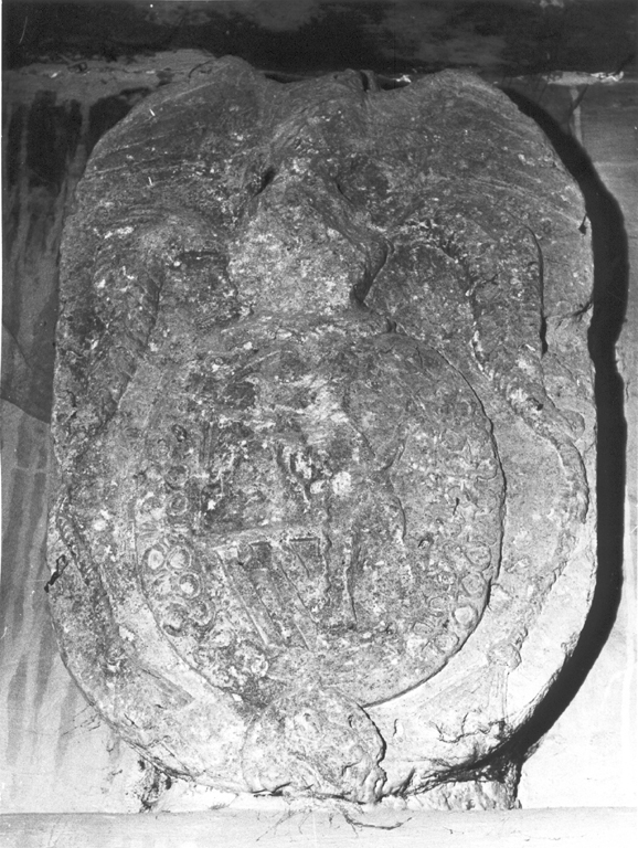 stemma gentilizio con cimiero (scultura) - ambito laziale (seconda metà sec. XVI)