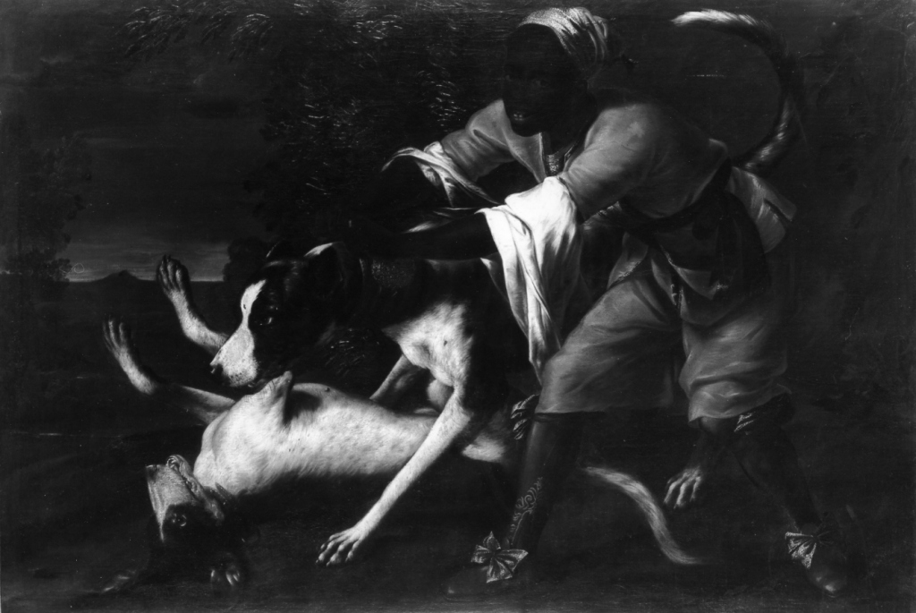 moretto con cani (dipinto) di Pace Michele detto Michelangelo del Campidoglio (prima metà sec. XVII)