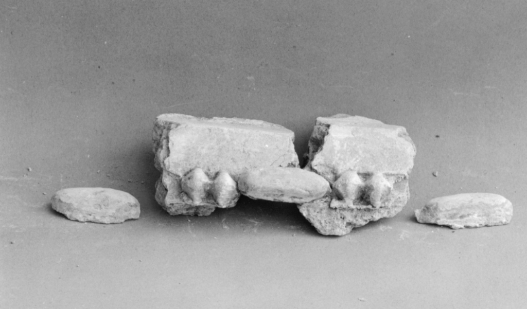 motivi decorativi a dentelli (cornice architettonica, frammento) - ambito viterbese (sec. XVII)