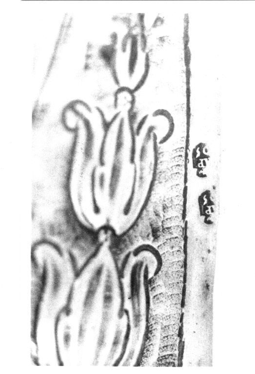 navicella portaincenso - a galeone - ambito campano (sec. XIX)