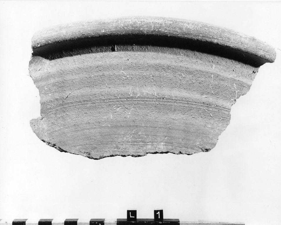 bacino, frammento - manifattura viterbese (secc. XIII/ XIV)