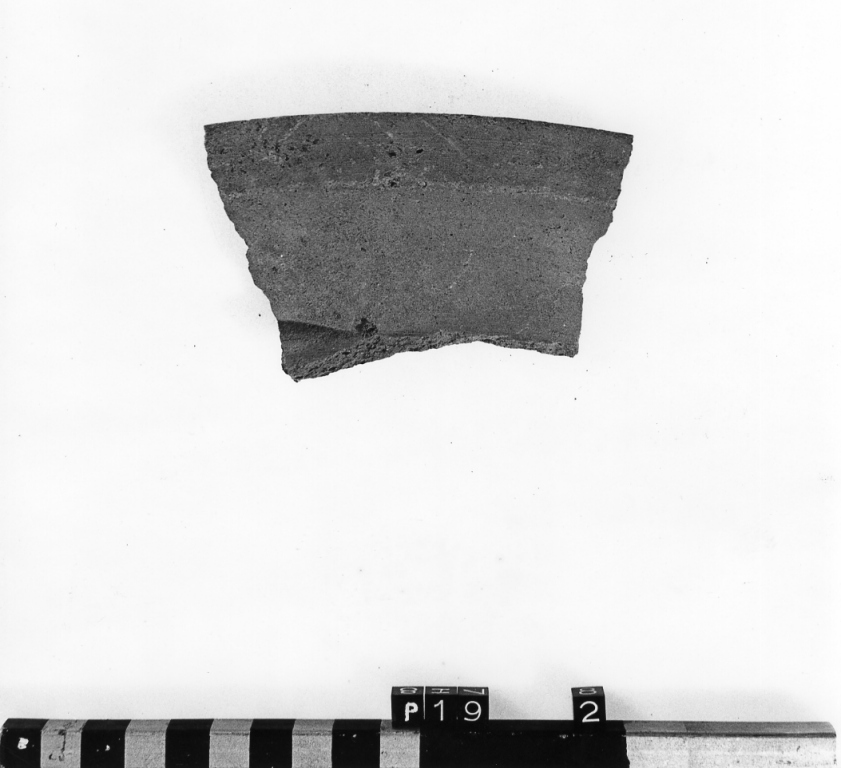 vassoio, frammento - manifattura viterbese (secc. XII/ XIII)