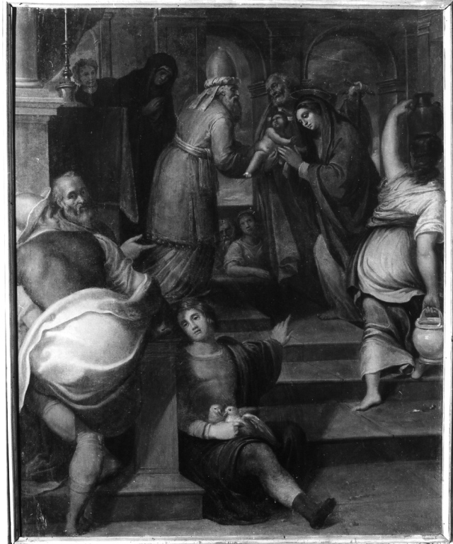 Presentazione di Gesù al Tempio (dipinto) di Nebbia Cesare (attribuito) (sec. XVI)