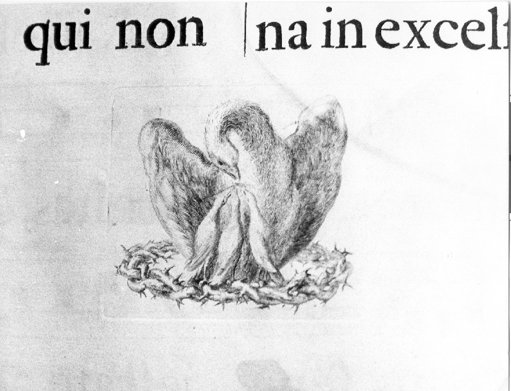 aquila (stampa) - ambito romano (sec. XVIII)