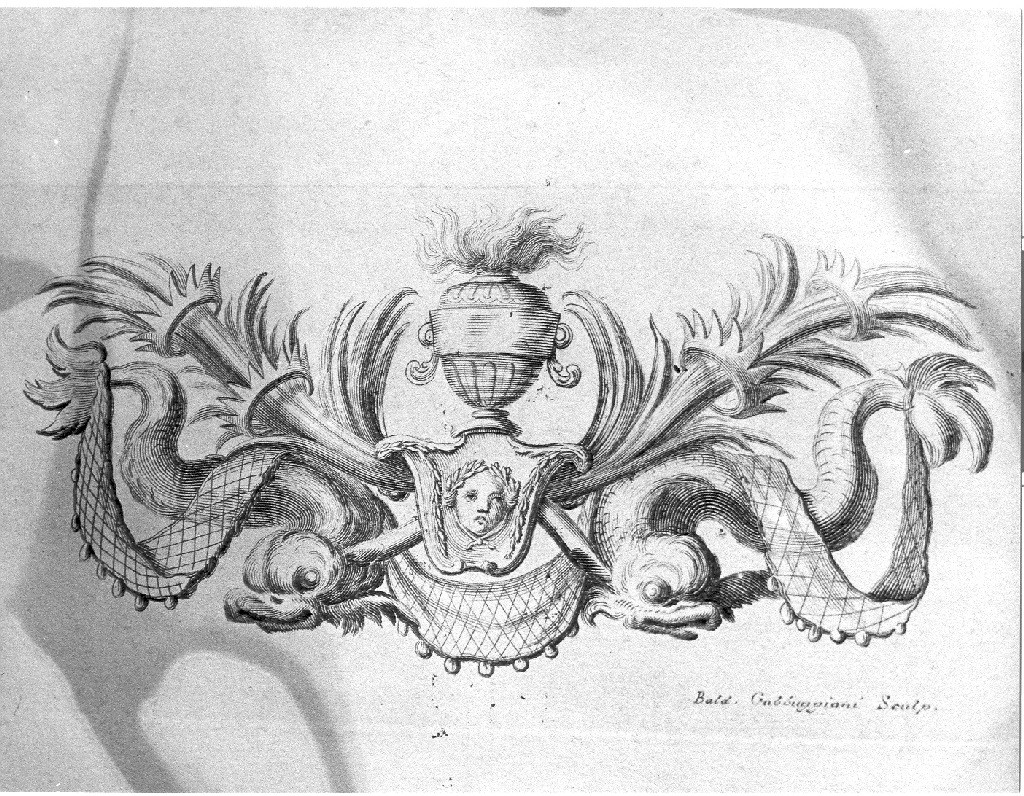 motivi decorativi vegetali con delfini (stampa) di Gabbuggiani Baldassarre (sec. XVIII)