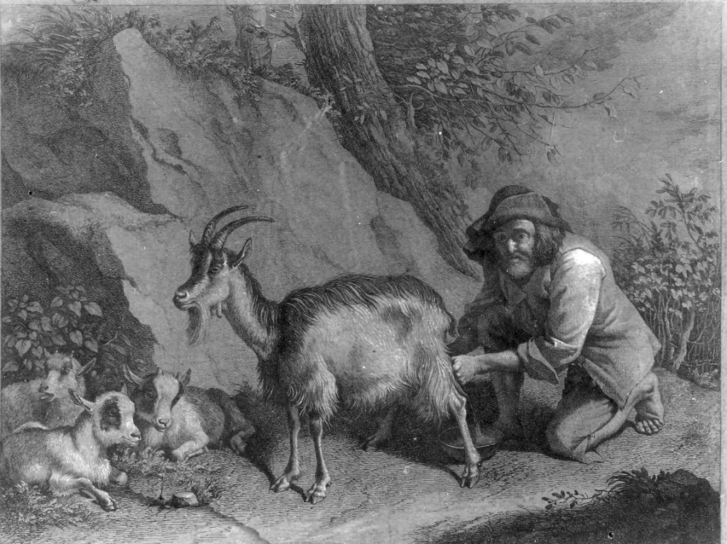 un contadino munge una capra (stampa) di Londonio Francesco (terzo quarto sec. XVIII)
