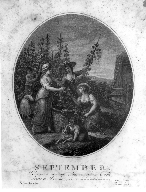 allegoria del mese di settembre (stampa) di Bonato Pietro (fine/inizio secc. XVIII/ XIX)