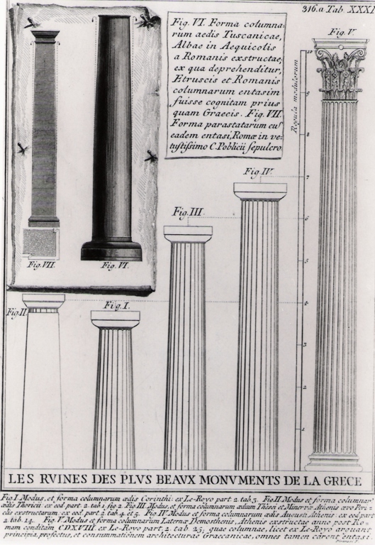 confronti di colonne greche con esempi di colonne etrusche e romane (stampa) di Piranesi Giovanni Battista (prima metà sec. XX)
