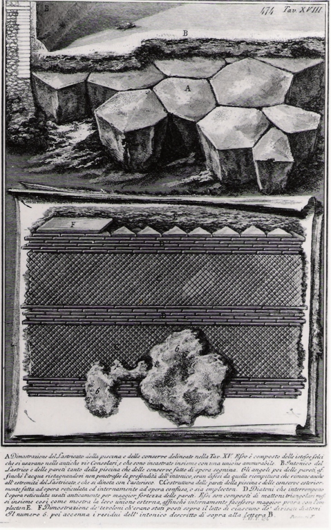 descrizione del pavimento delle piscine e delle conserve (stampa) di Piranesi Giovanni Battista (prima metà sec. XX)
