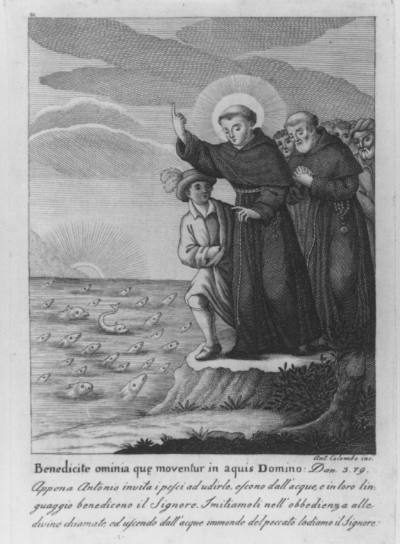 Benedicite omnia que moventur in aquis Domino: Dan. 3.79, Sant'Antonio da Padova predica ai pesci (stampa smarginata) di Colombo Antonio (sec. XIX)