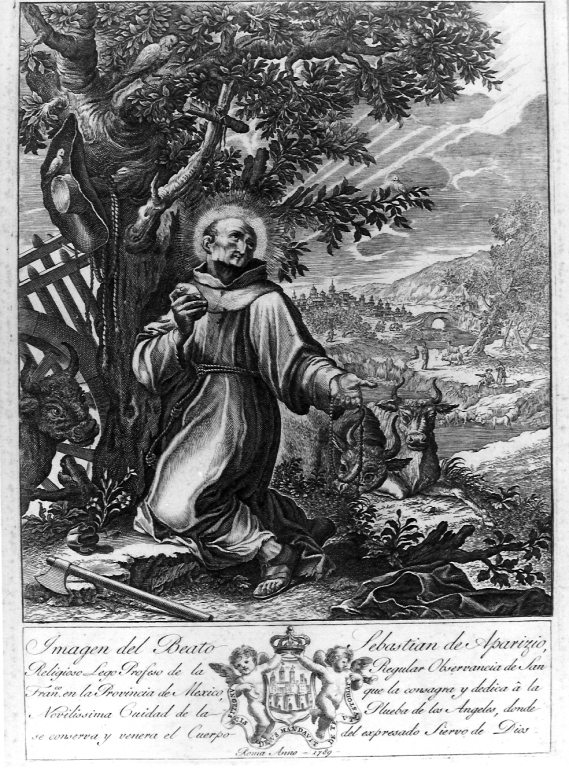 San Sebastiano di Aparicio in preghiera (stampa) - ambito italiano (sec. XVIII)