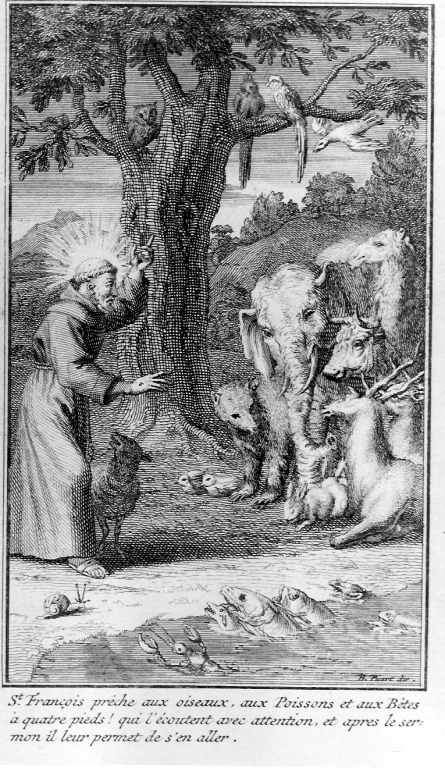 San Francesco d'Assisi predica agli animali (stampa) di Picart Bernard (sec. XVIII)