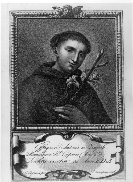 Sant'Antonio da Padova (stampa) di Rosaspina Francesco (prima metà sec. XIX)