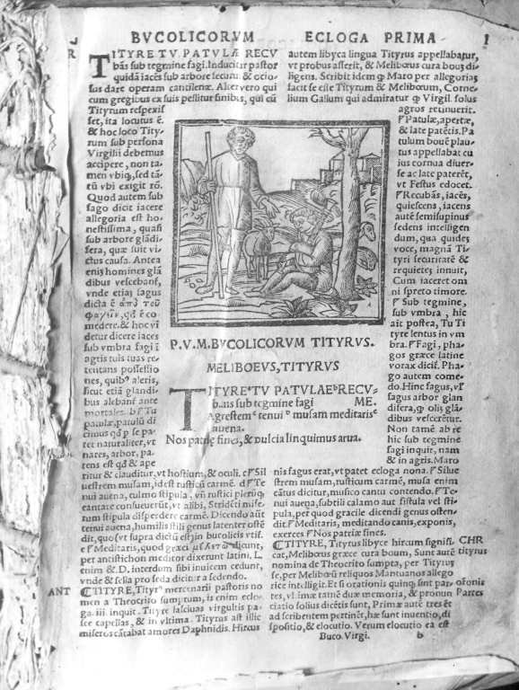 scena bucolica (stampa) - ambito veneto (sec. XVI)